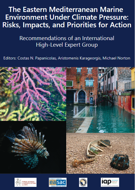 Report Cover