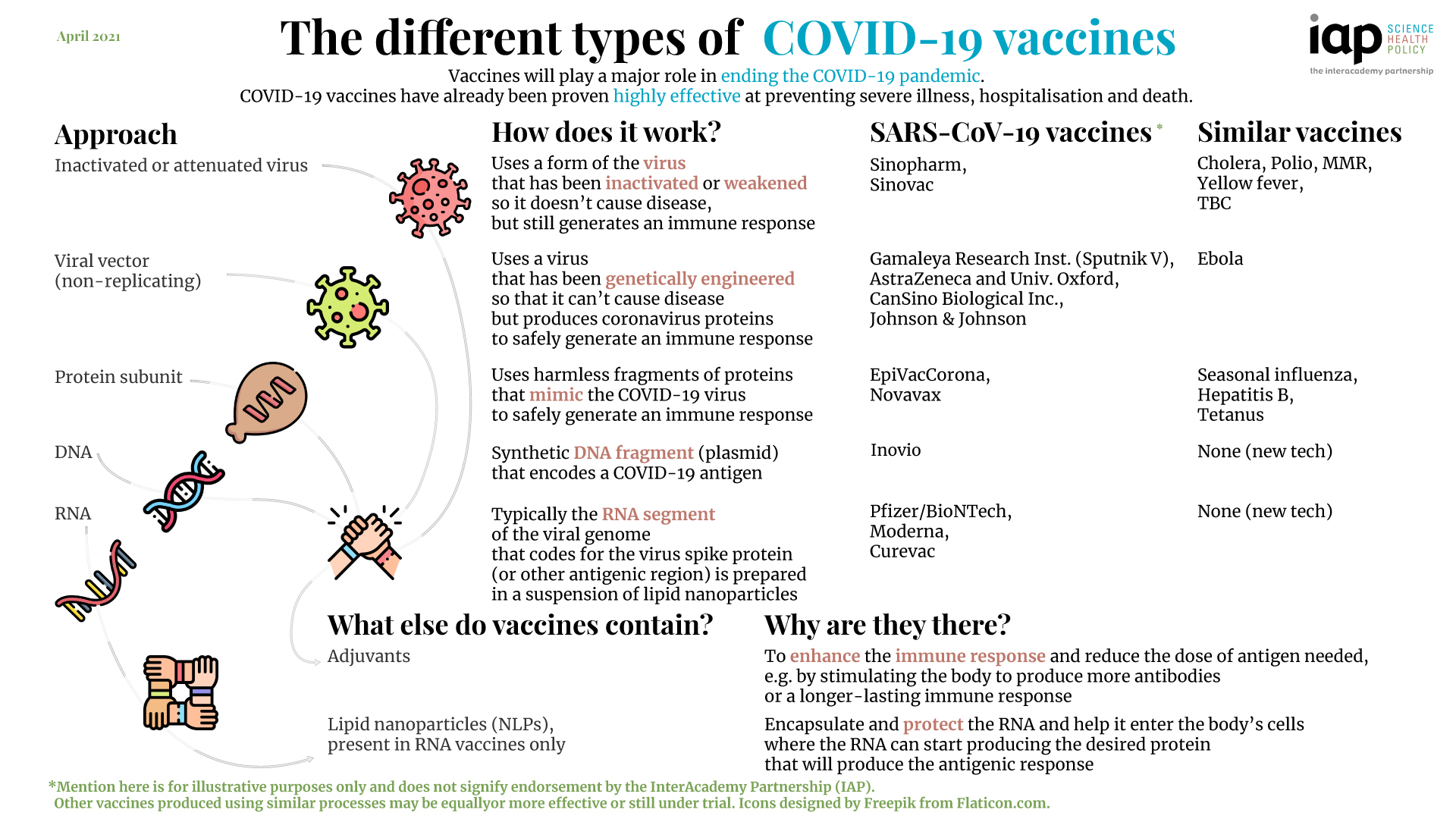 The different types of COVID-19 vaccines infographic