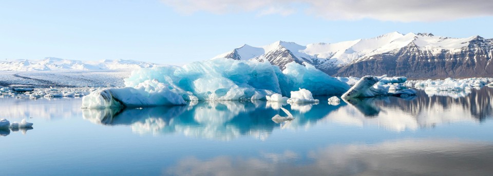 Arctic