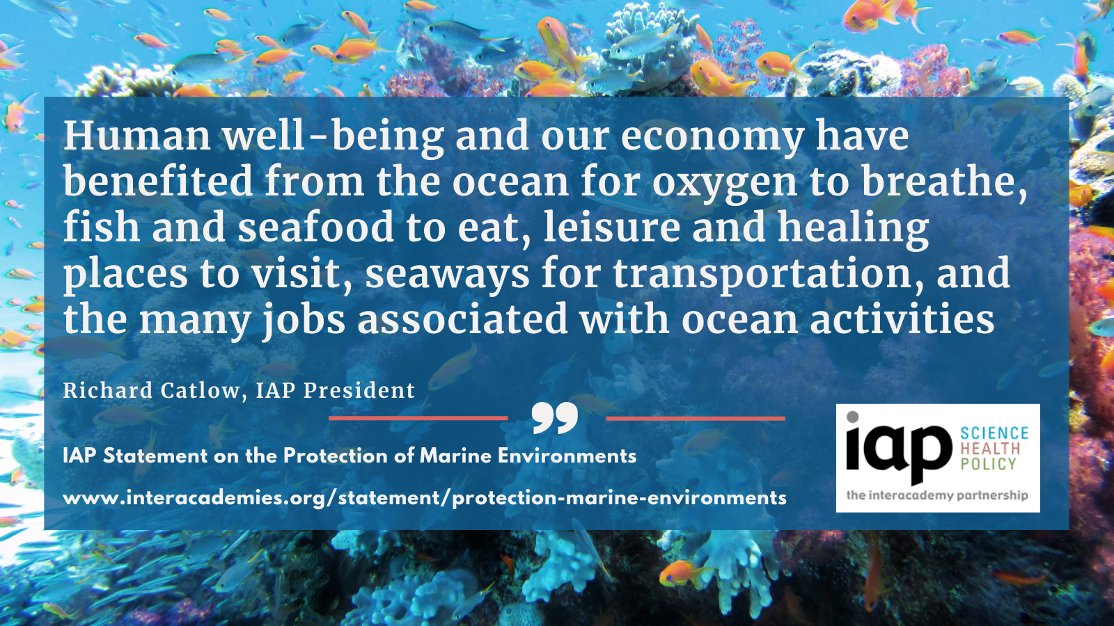 World Oceans Day quote 