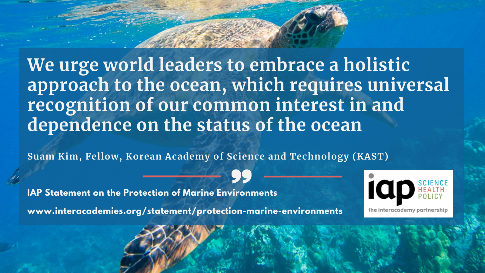World Oceans Day quote Kim