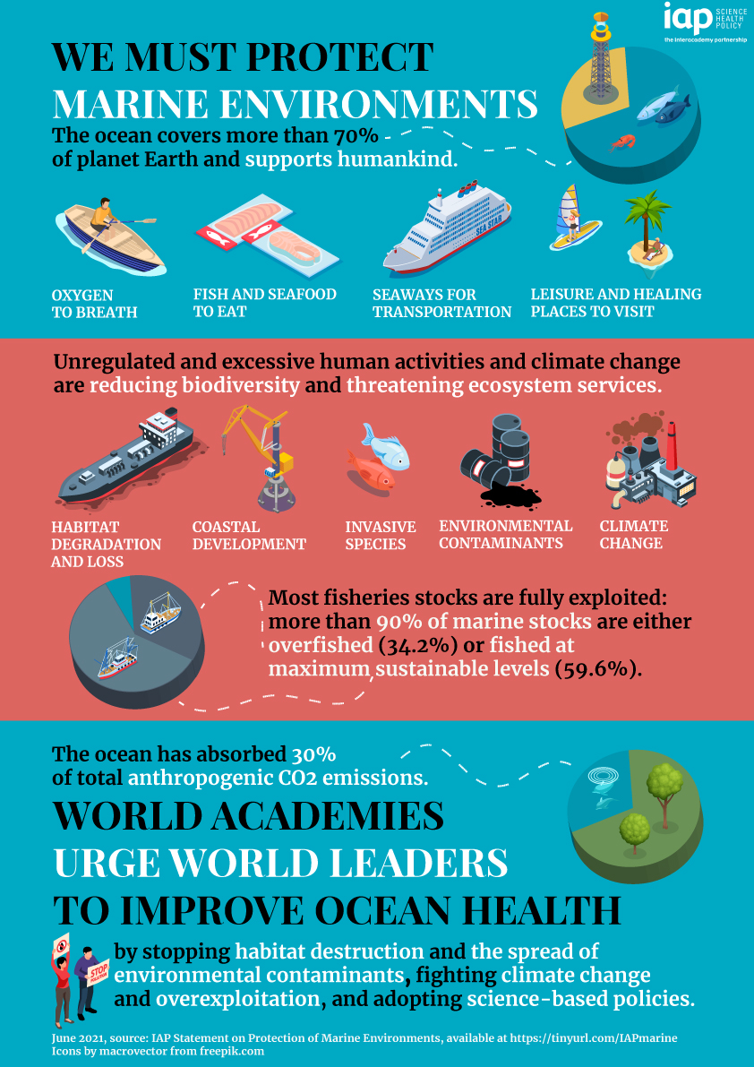 Marine environments infographic
