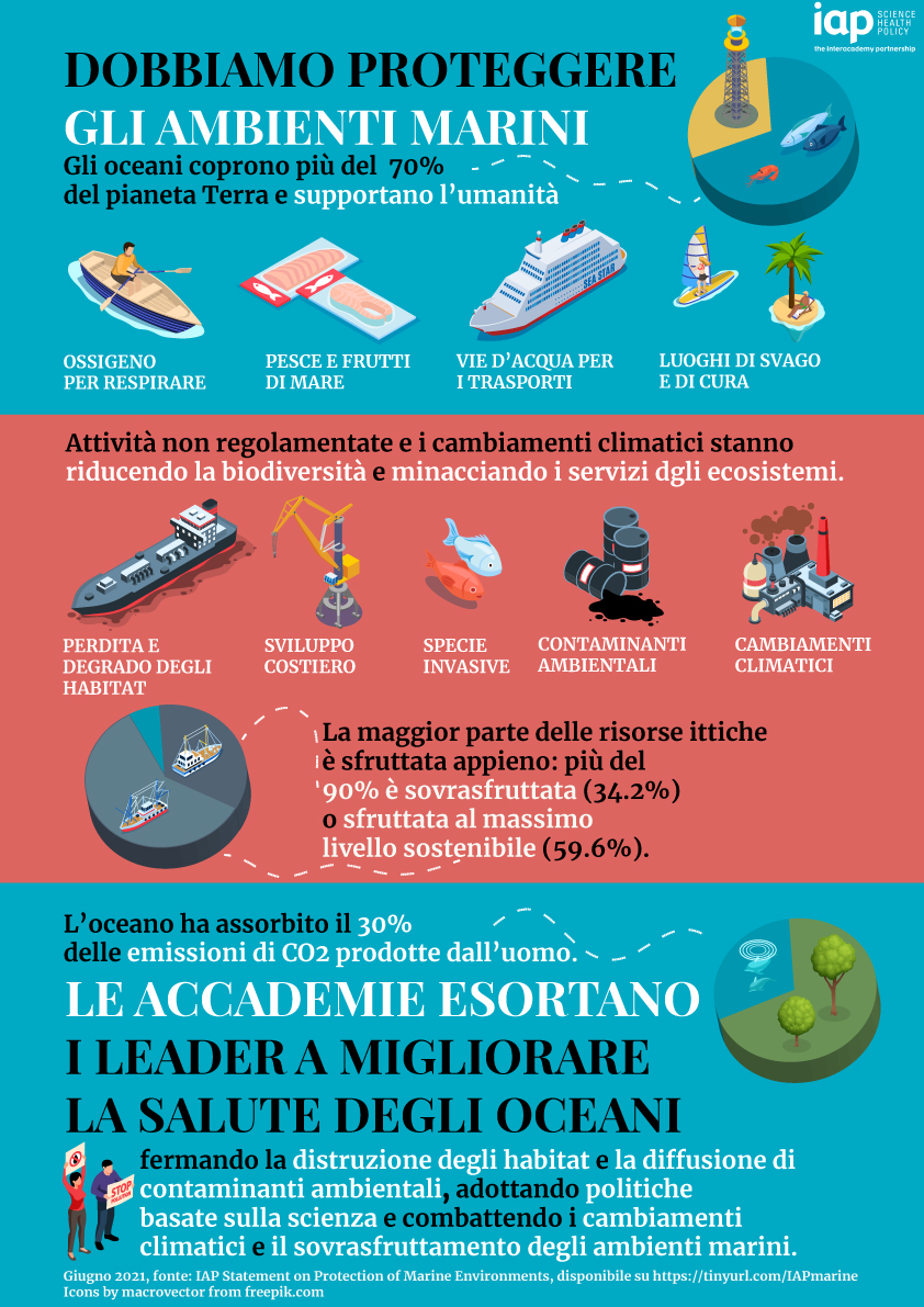 Marine Environments Infographic Italian