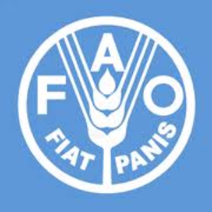 Food and Agriculture Organization (FAO) Logo