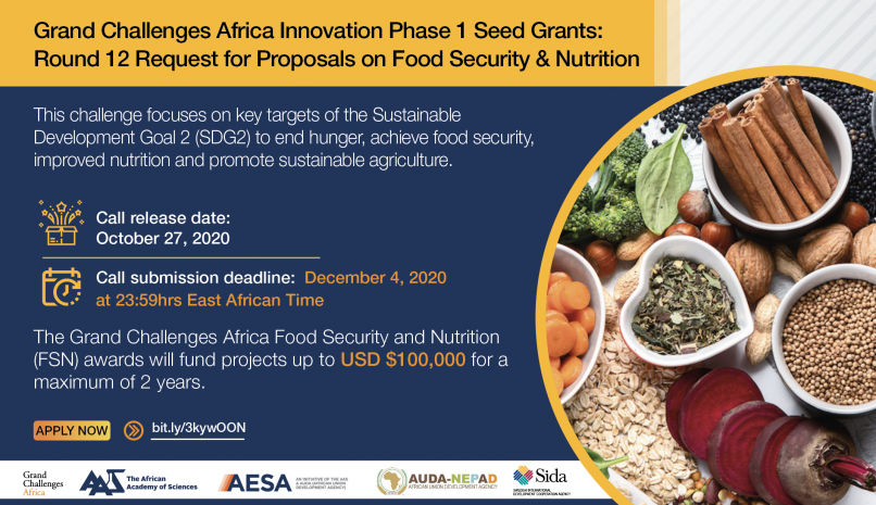 Promoting innovations to advance food security and nutrition in Africa