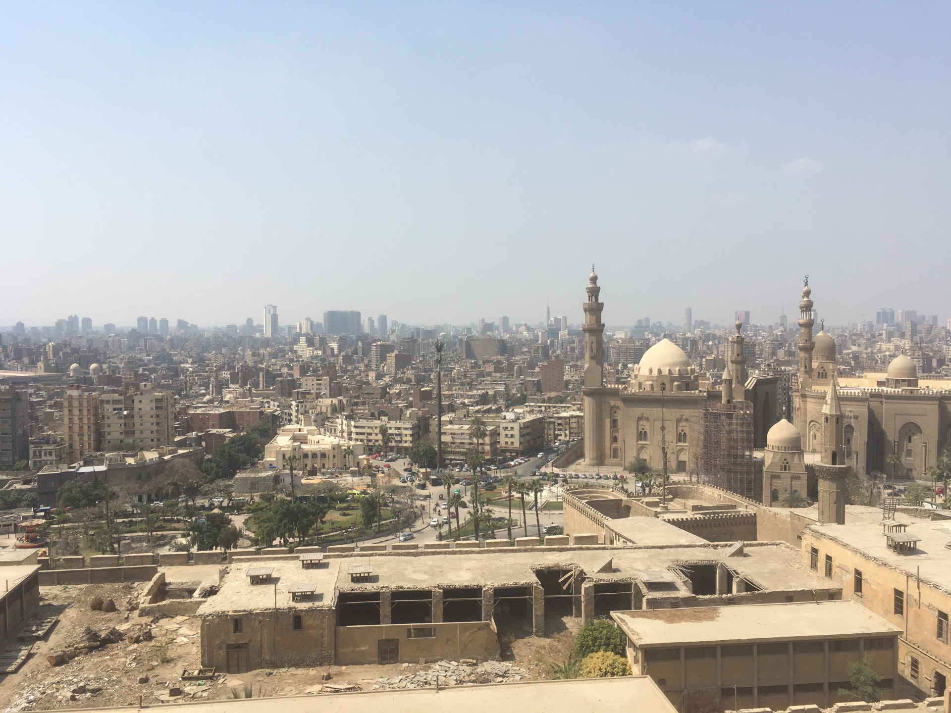 Cairo 1 Estate 2022 Sofia Nitti