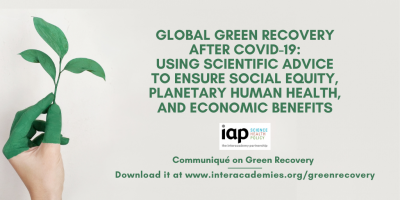 green recovery Twitter card