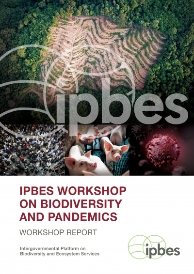 IPBES Workshop Report on Biodiversity and Pandemics