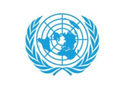 UN logo