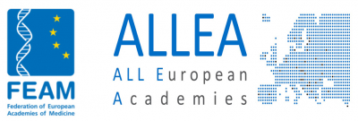 ALLEA FEAM logo