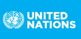 UN logo