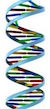 Genes logo
