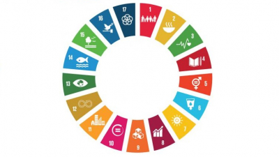 SDGS logo