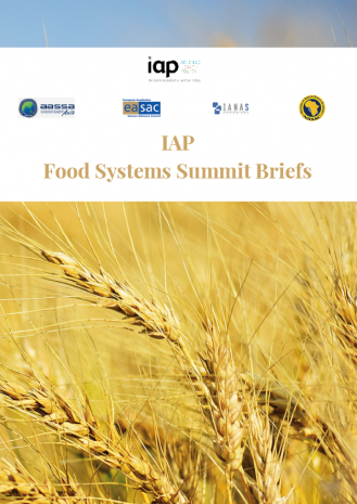 IAP Food Systems Summit Briefs cover