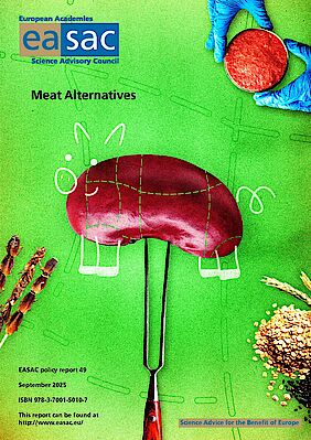 Cover - Meat Alternatives