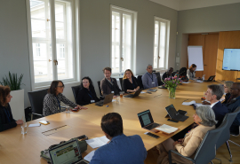 IAP Working Group on Urban Health