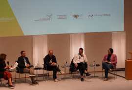 Panelists at the Plenary session on Natural Environment, Climate Change and Urban Health