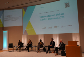 Breakout 3C on Climate Change and Urban Health