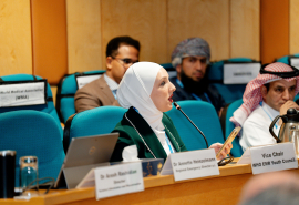 Intervention, WHO EMRO Regional Committee (2025), Cairo, Egypt