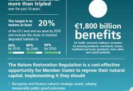 Commentary 'Opportunities in Nature Restoration' Infographic