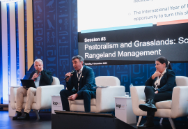 Triennial Conference