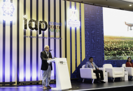 Triennial Conference