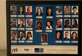 YPL2017COLLAGE.jpg