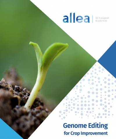 Genome Editing for Crop Improvement