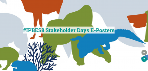 IPBES8 Stakeholder Days E-Posters session