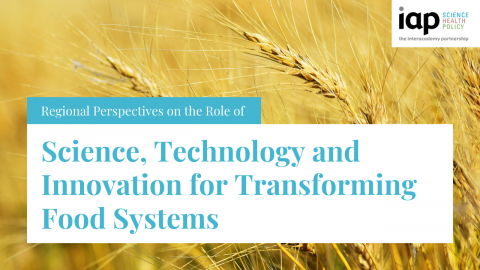 transforming food systems
