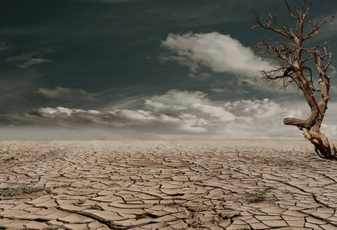 Climate change decision making