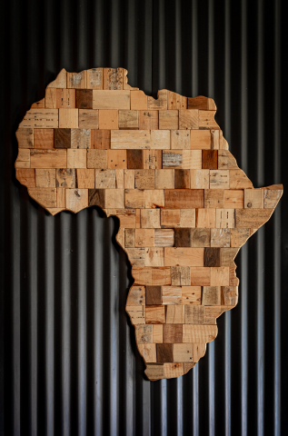 Africa One Health