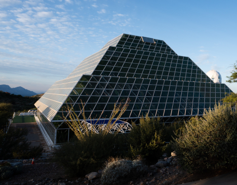 Arizona dome no cactus