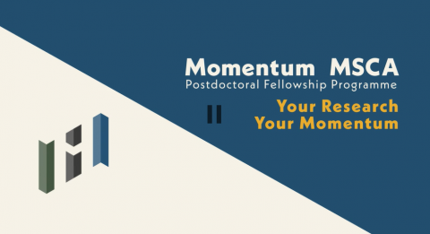 Momentum MSCA Postdoctoral Fellowship Programme