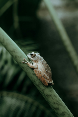 pexels-nguy-n-ti-n-th-nh-2150376175-32528971