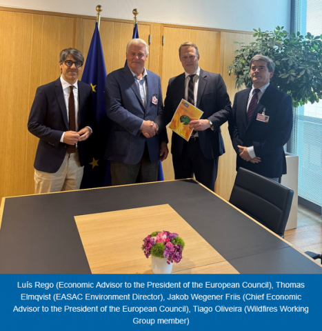 EASAC Report