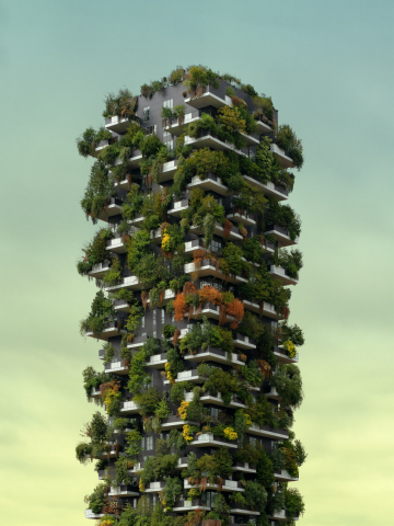 Urban Health