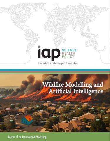Wildfire Modelling and Artificial Intelligence