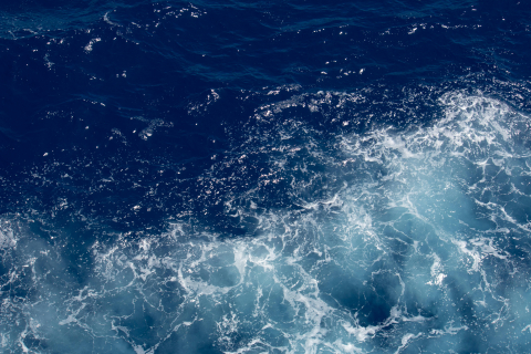 Ocean