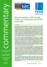 EASAC FEAM Statement Decarbonisation of Health Sector