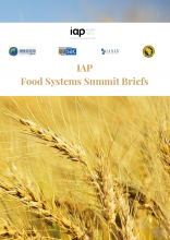 IAP Food Systems Summit Briefs cover