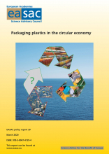 Packaging plastics in the circular economy 