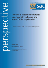 The word ‘transformative’ has entered current discourse from several directions, most recently in the European Green Deal which promises ‘deeply transformative’ policies. Before that, various analyses of the slow progress towards the United Nations Sustainable Development Goals concluded that ‘transformative changes’ would be required if humanity is to secure a sustainable future. The failure to reverse trends to worsening climate disruption and biodiversity loss is also said to require transformative chang