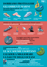 Italian Infographic about Marine Environment