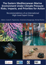 The Eastern Mediterranean Marine Environment Under Climate Pressure: Risks, Impacts and Priorities for Action