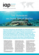 IAP Statement on Protection of Marine Environments