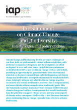 Climate Change and Biodiversity: Interlinkages and policy options