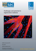 Cover of the report Challenges and potential in regenerative medicine