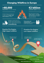 Changing Wildfires in Europe (Infographic)