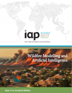 Wildfire Modelling and Artificial Intelligence